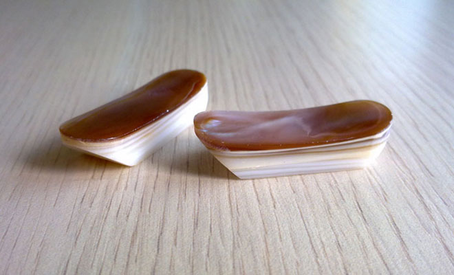 grass-blades